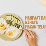 manfaat dan bahaya makan telur