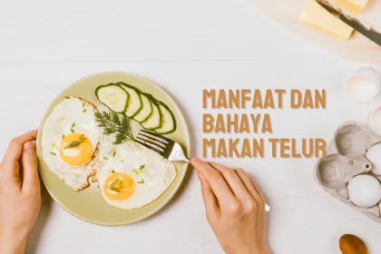 manfaat dan bahaya makan telur