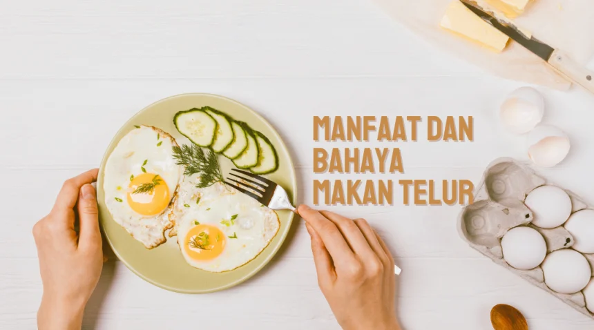 manfaat dan bahaya makan telur