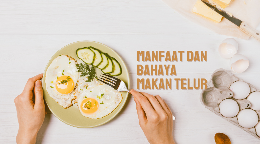 manfaat dan bahaya makan telur