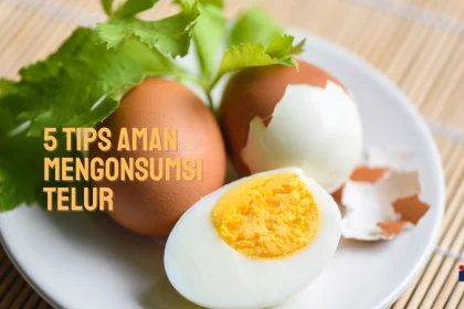 tips aman mengonsumsi telur