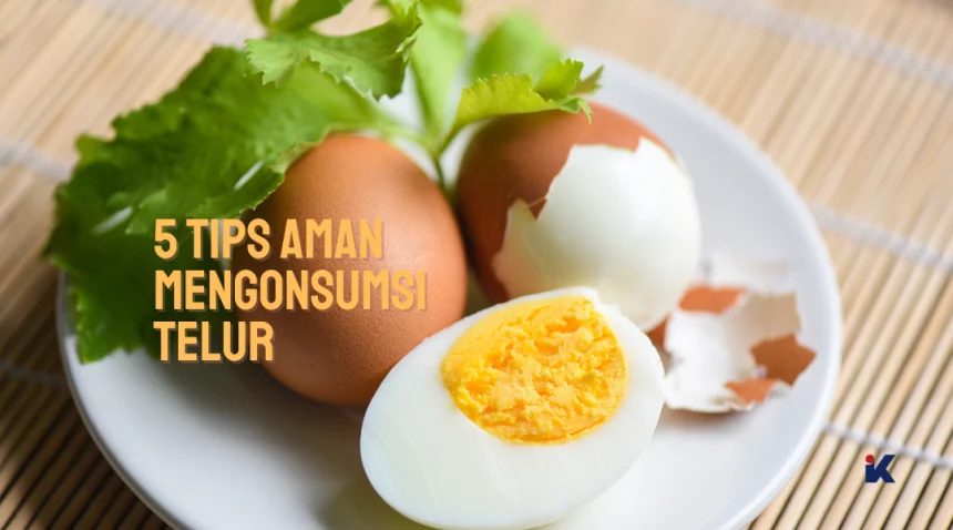 tips aman mengonsumsi telur